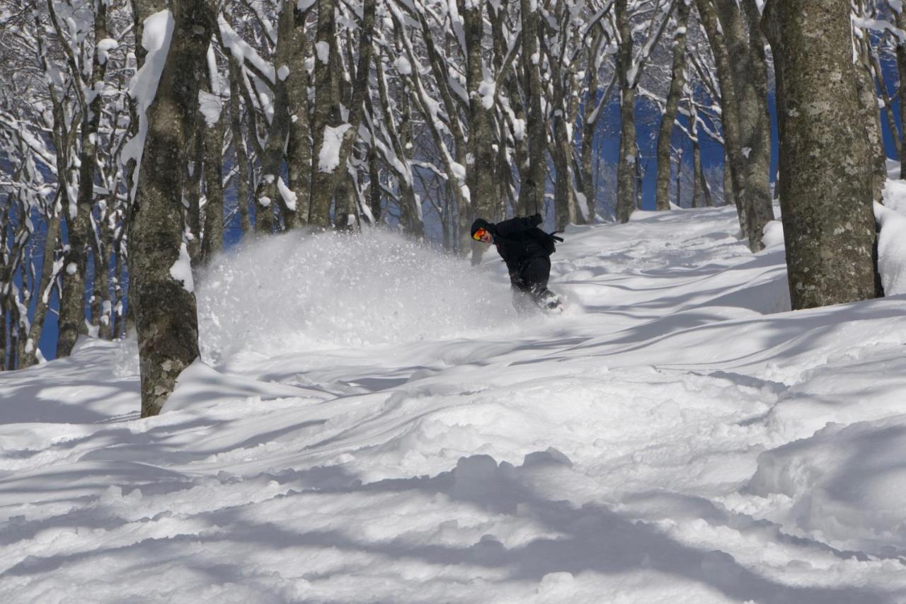 Hotel Monkey Rider Hakuba Esterno foto